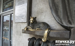 ����: �������� ����� � ������