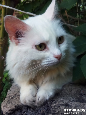 ����: ������������ � ��������� ���������. ������� ����������� ��� ���� � ��������� �������