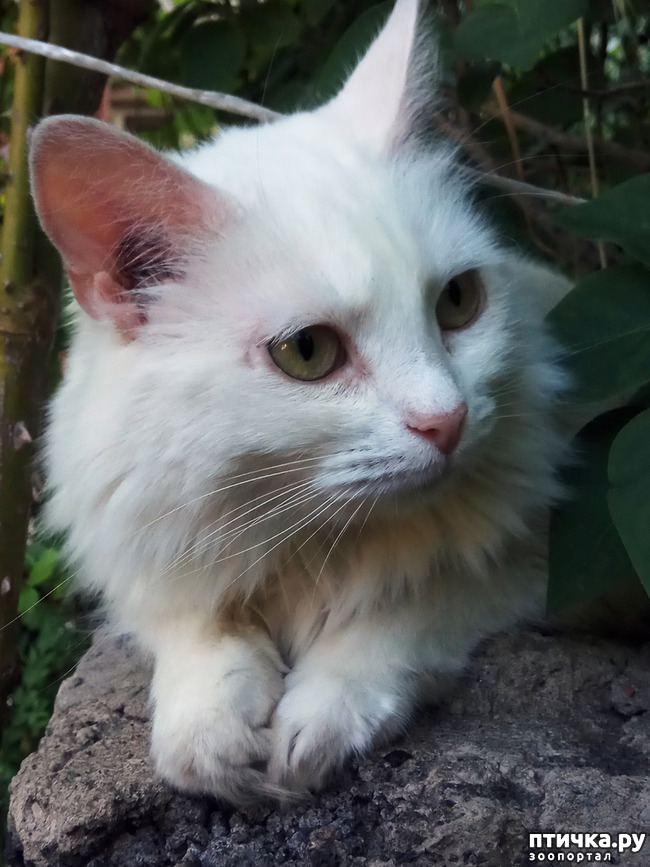 ���� 1: ������������ � ��������� ���������. ������� ����������� ��� ���� � ��������� �������