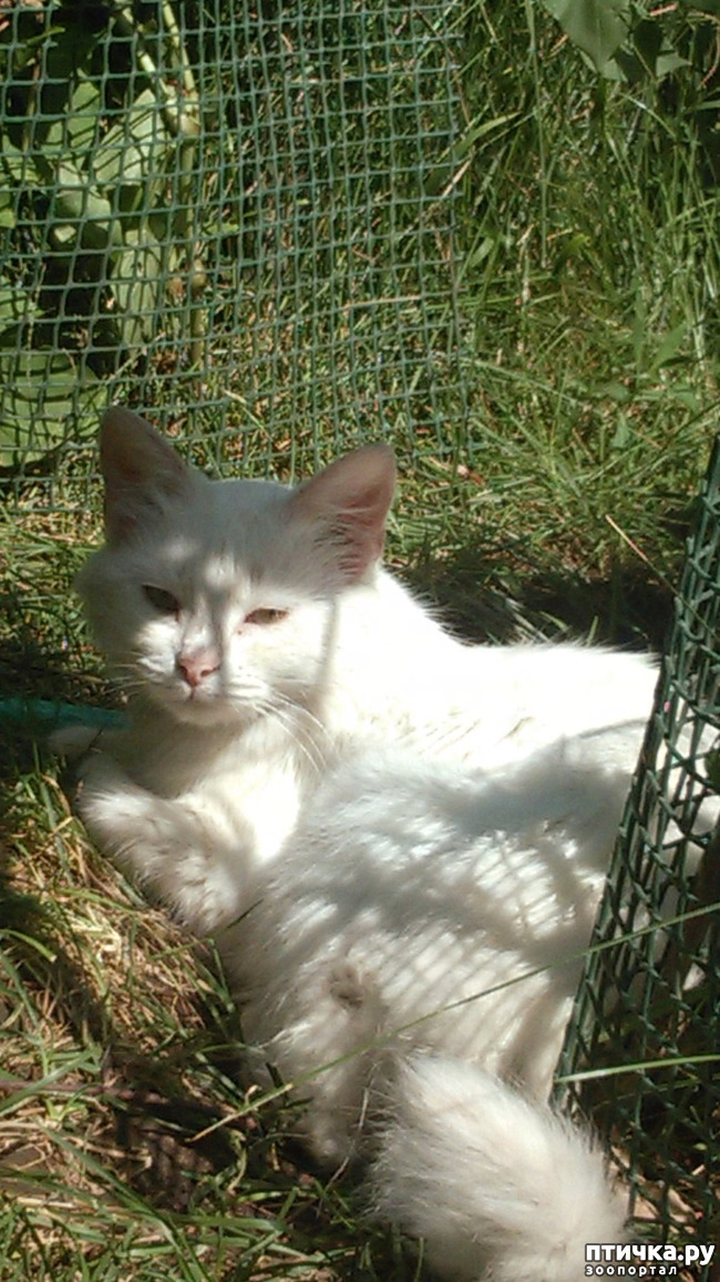 ���� 2: ������������ � ��������� ���������. ������� ����������� ��� ���� � ��������� �������