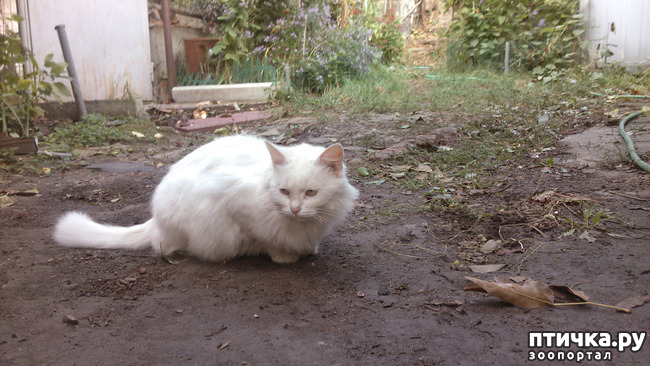 ���� 3: ������������ � ��������� ���������. ������� ����������� ��� ���� � ��������� �������