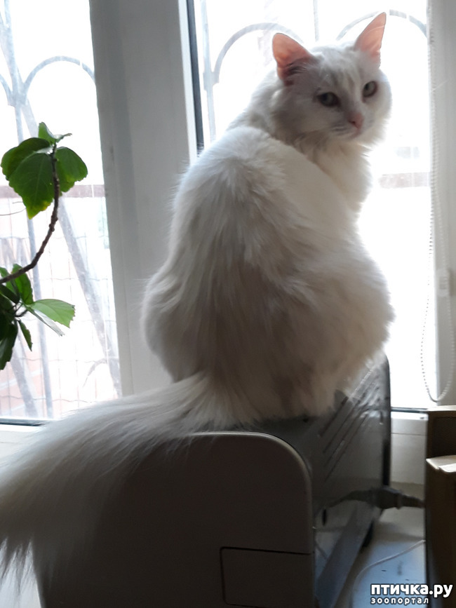 ���� 6: ������������ � ��������� ���������. ������� ����������� ��� ���� � ��������� �������