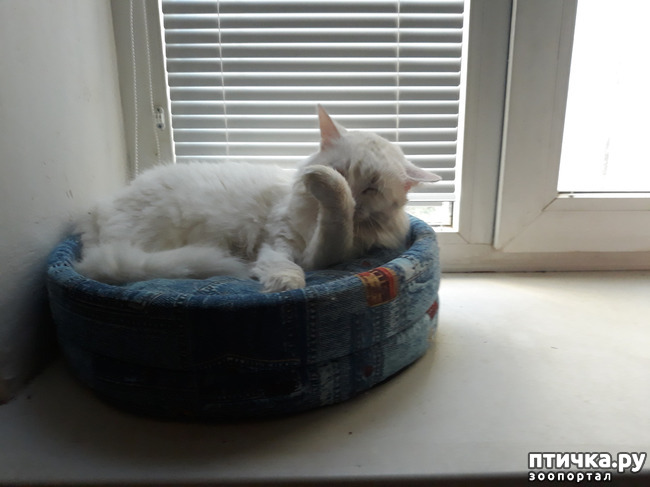 ���� 7: ������������ � ��������� ���������. ������� ����������� ��� ���� � ��������� �������