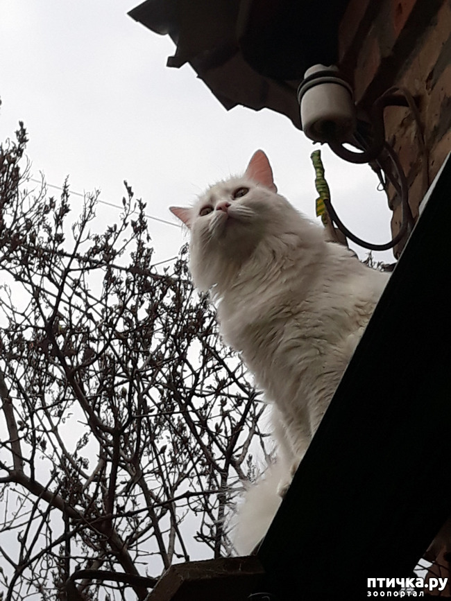 ���� 8: ������������ � ��������� ���������. ������� ����������� ��� ���� � ��������� �������