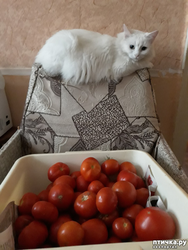 ���� 10: ������������ � ��������� ���������. ������� ����������� ��� ���� � ��������� �������