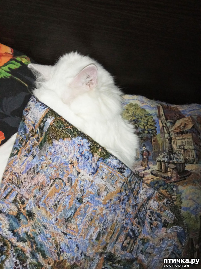 ���� 11: ������������ � ��������� ���������. ������� ����������� ��� ���� � ��������� �������