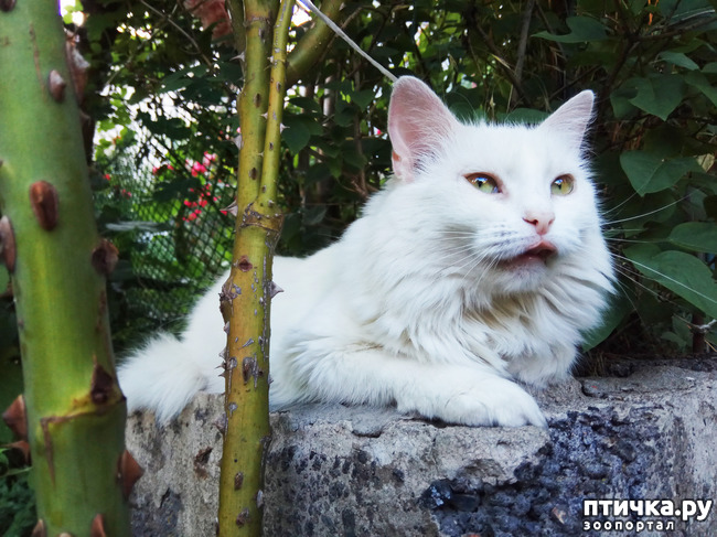 ���� 12: ������������ � ��������� ���������. ������� ����������� ��� ���� � ��������� �������