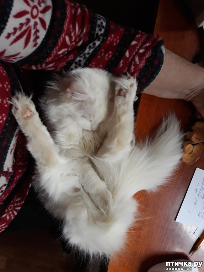 ���� 4: ������������ � ��������� ���������. ������� ����������� ��� ���� � ��������� �������