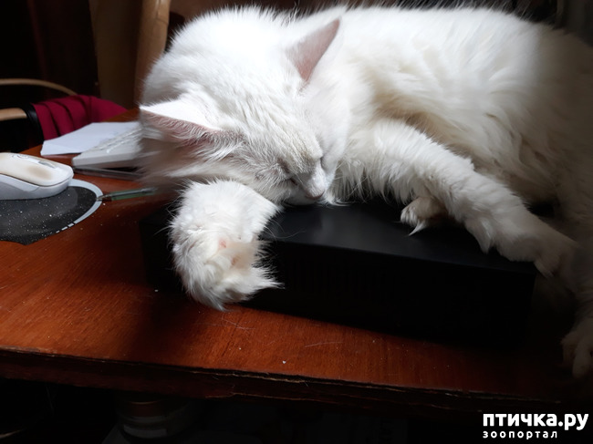 ���� 5: ������������ � ��������� ���������. ������� ����������� ��� ���� � ��������� �������