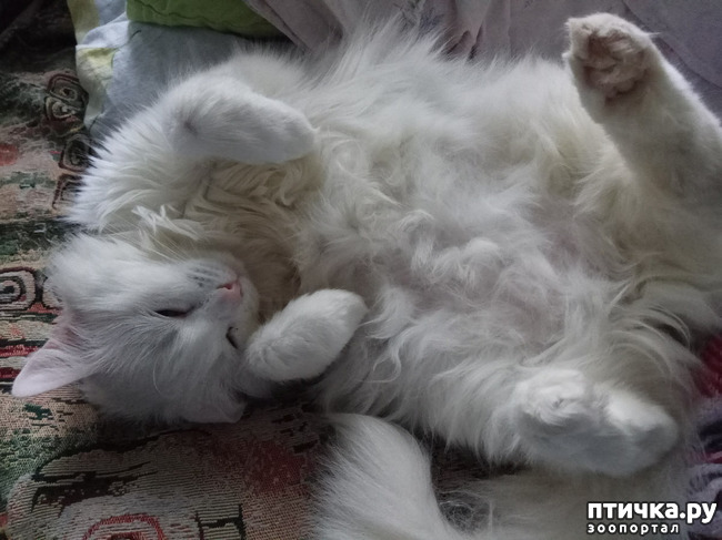 ���� 9: ������������ � ��������� ���������. ������� ����������� ��� ���� � ��������� �������