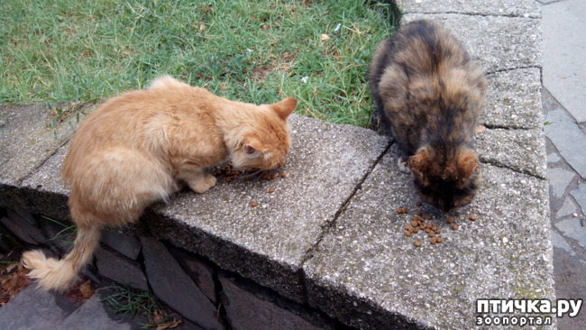 ���� 3: ����� � ���������