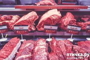 ����: ��� � �����: ������� ������ ����� ������