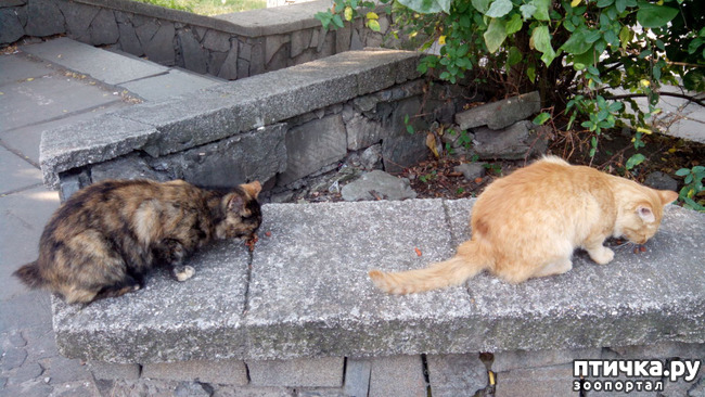 ���� 4: ����� � ���������