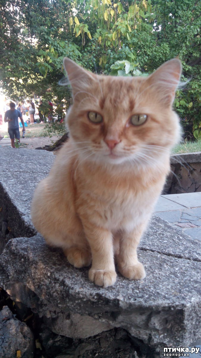 ���� 5: ����� � ���������