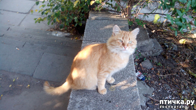 ���� 6: ����� � ���������