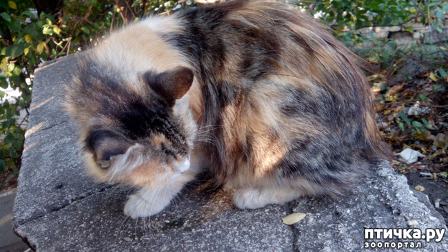 ���� 7: ����� � ���������