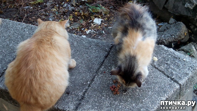 ���� 8: ����� � ���������