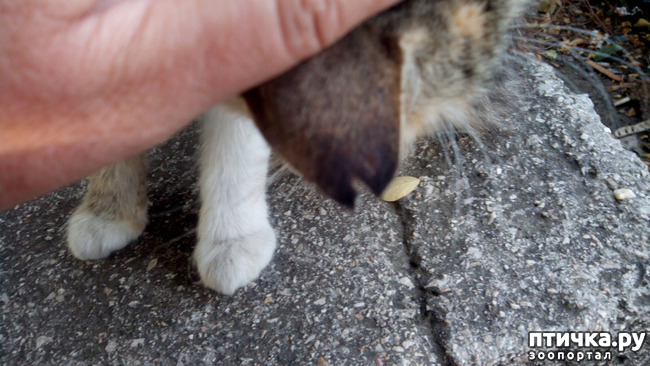 ���� 9: ����� � ���������