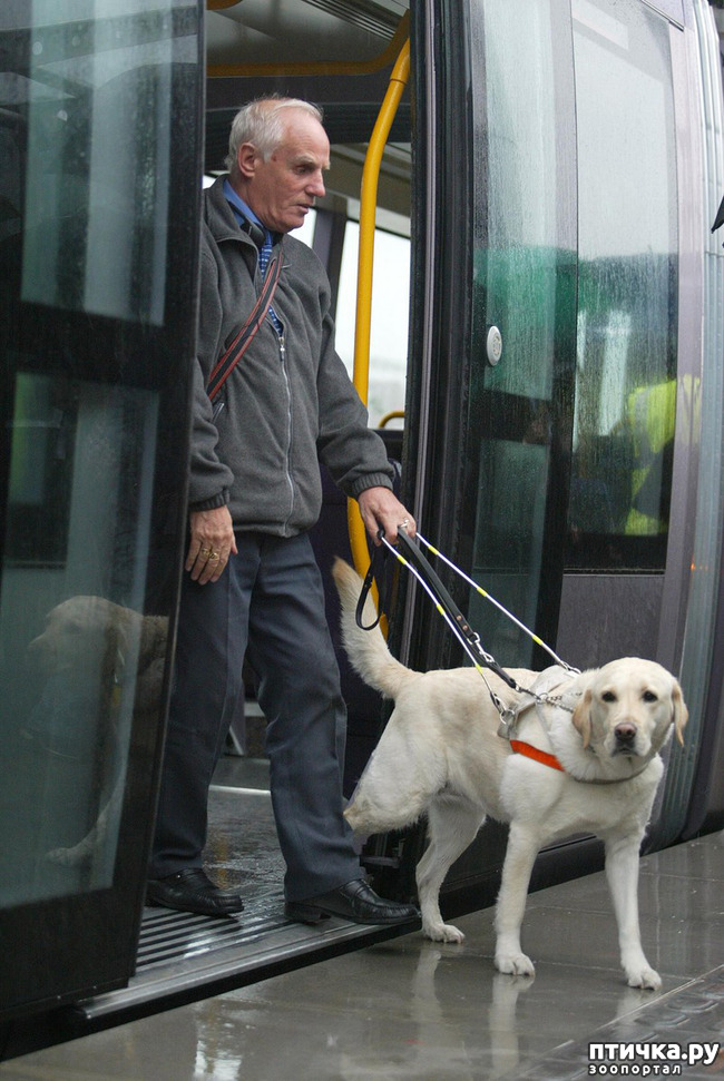 ���� 1: ��������