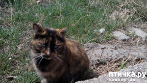 ����: ����� � ���������