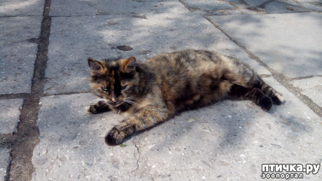 ���� 2: ����� � ���������