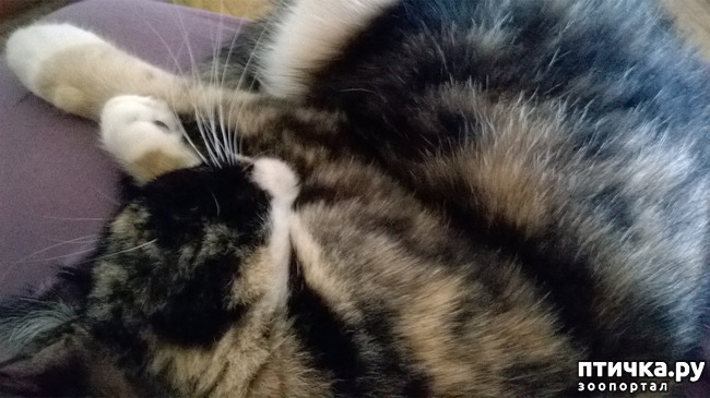 ���� 10: ��� �������. ��� ������.