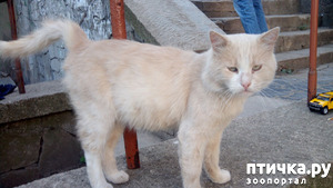 ����: ��� ���� ��������