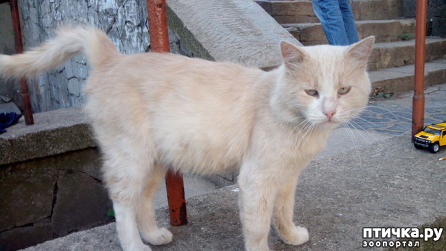 ���� 1: ��� ���� ��������