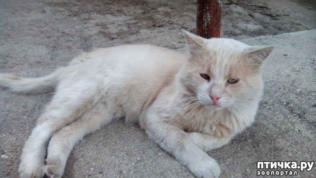 ���� 2: ��� ���� ��������