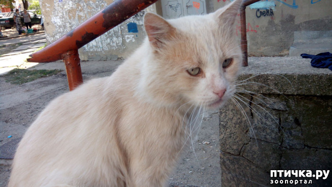 ���� 3: ��� ���� ��������