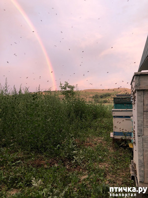 ����: � ���� ������ �����?