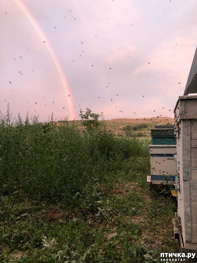 ���� 1: � ���� ������ �����?