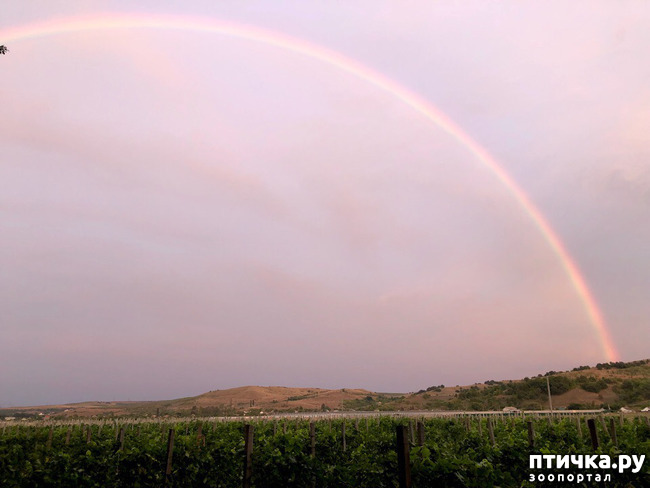 ���� 2: � ���� ������ �����?