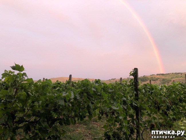 ���� 3: � ���� ������ �����?