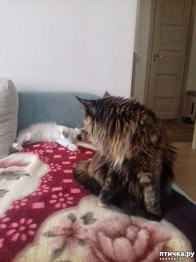 ���� 7: ��� �������? �����.