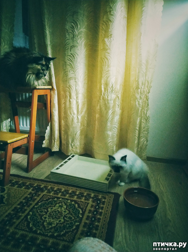 ���� 6: ��� �������? �����.