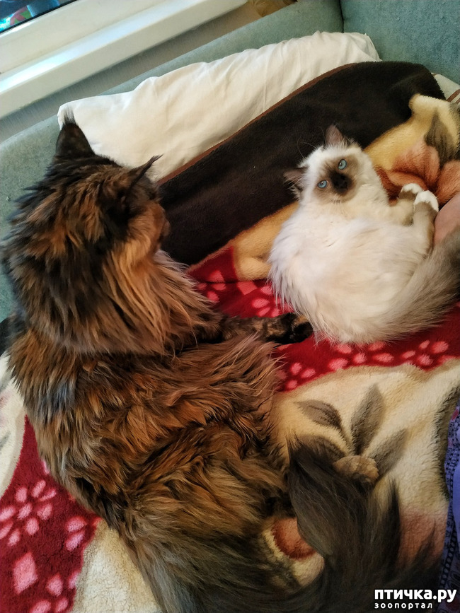 ���� 3: ��� �������? �����.