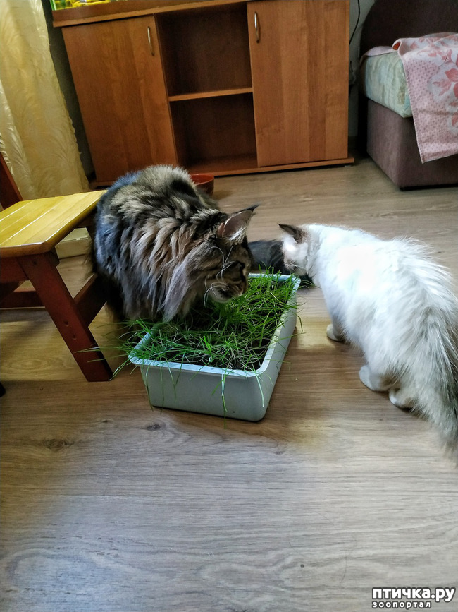 ���� 5: ��� �������? �����.