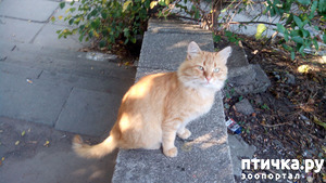 ����: � ������� ���� ��� ��������...