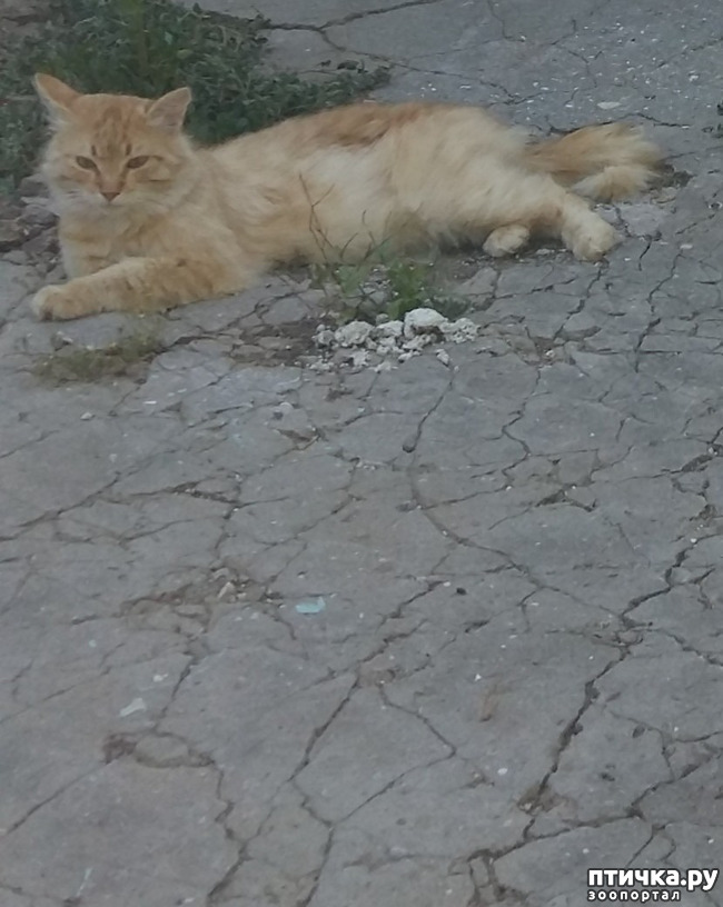 ���� 4: � ������� ���� ��� ��������...