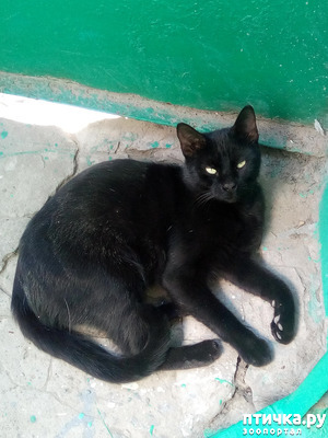 ����: ������