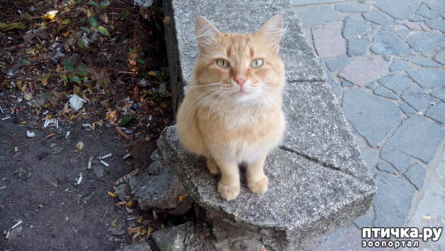 ���� 2: � ������� ���� ��� ��������...