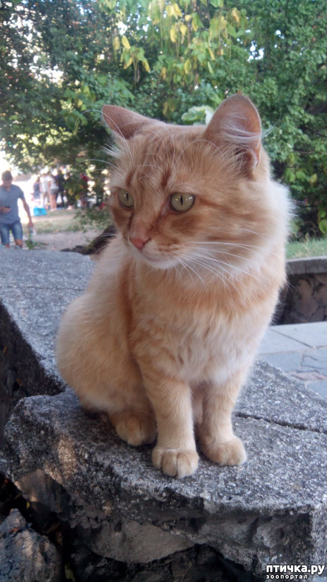 ���� 3: � ������� ���� ��� ��������...