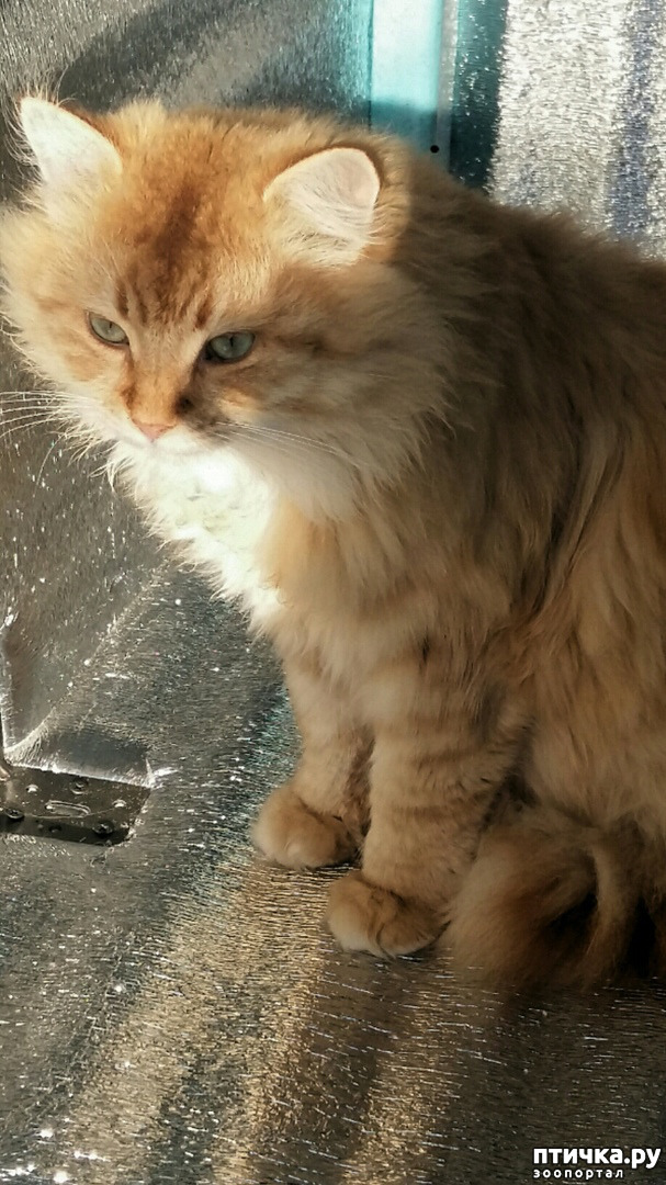 ���� 5: � ������� ���� ��� ��������...