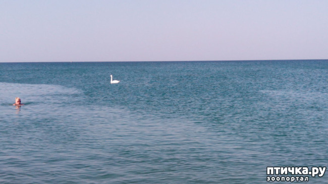 ���� 2: ������� � ��������