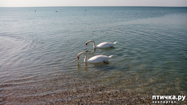 ���� 3: ������� � ��������