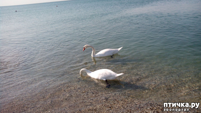 ���� 4: ������� � ��������