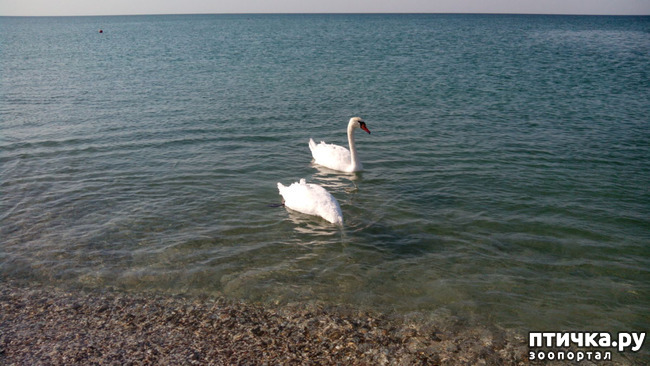 ���� 5: ������� � ��������