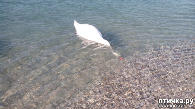 ���� 6: ������� � ��������