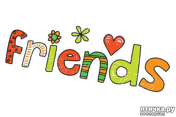 ���� 3: ������ ����.